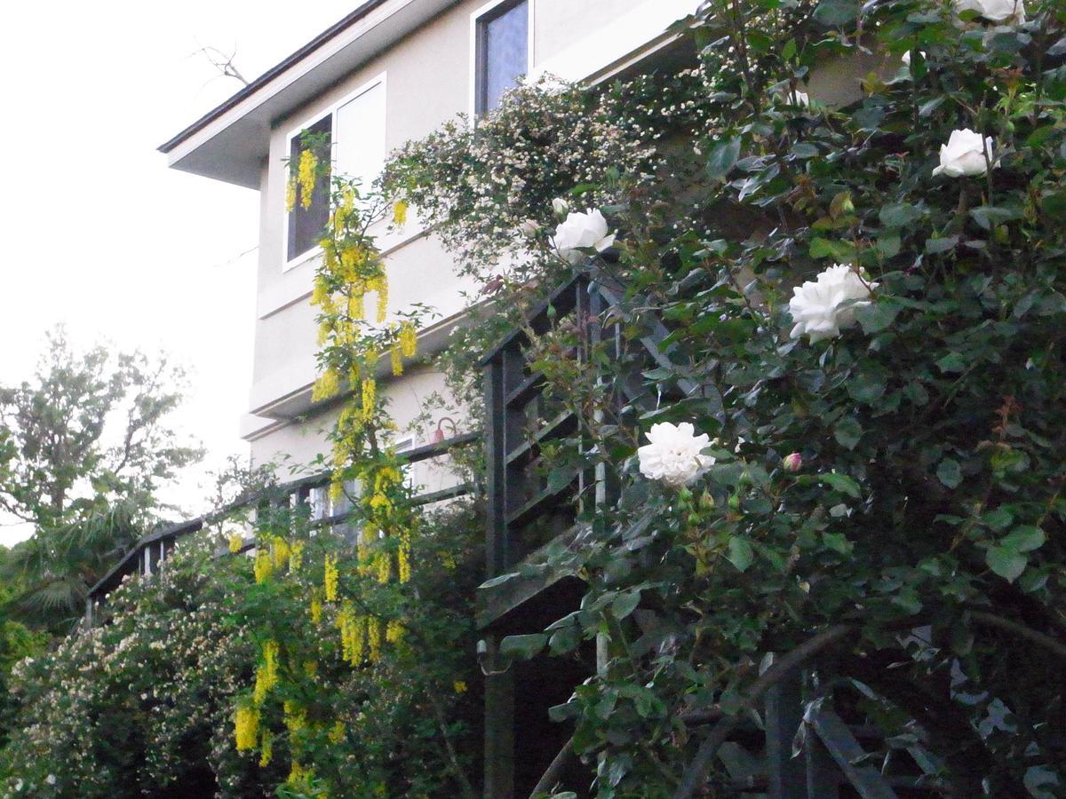 Chiisana Hotel Hanaikada Ито Экстерьер фото